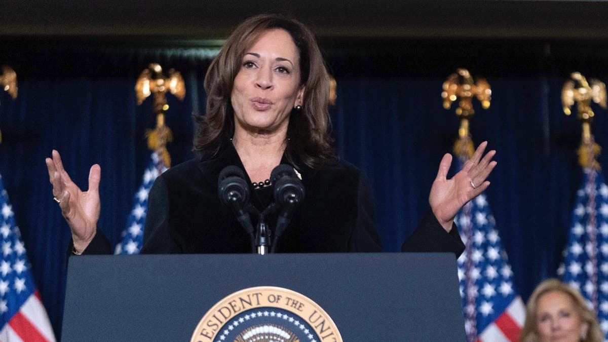 Vice President Kamala Harris delivers remarks at the Democratic National Committee's Holiday Reception at Willard Hotel in Washington, Sunday, Dec. 15, 2024. (AP Photo/Jose Luis Magana)