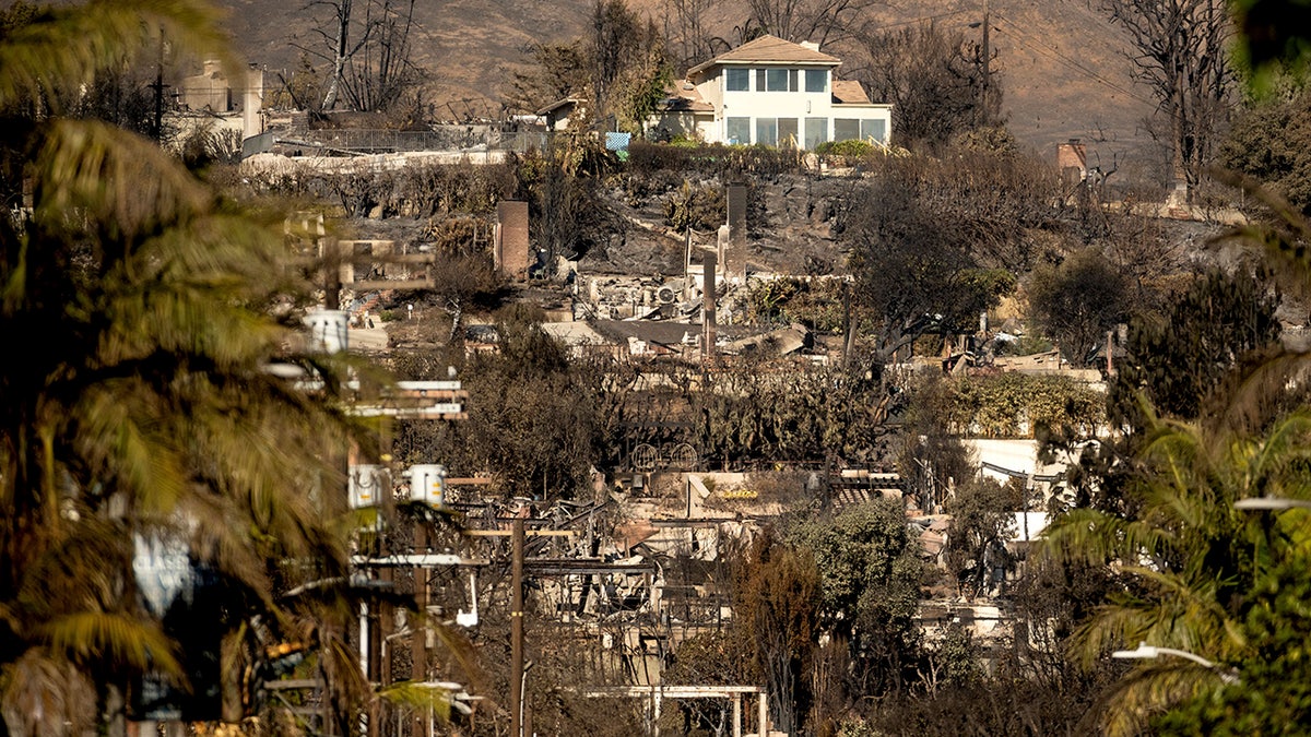 A house stands among the residences destroyed by the Palisades Fire in the Pacific Palisades neighborhood