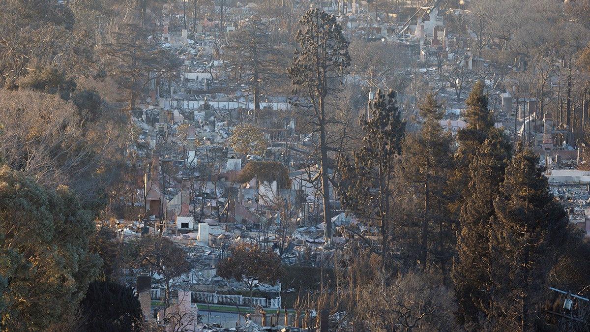 Burned property after the Palisades Fire in the Pacific Palisades neighborhood