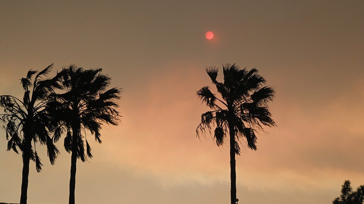 Aftermath of California wildfires