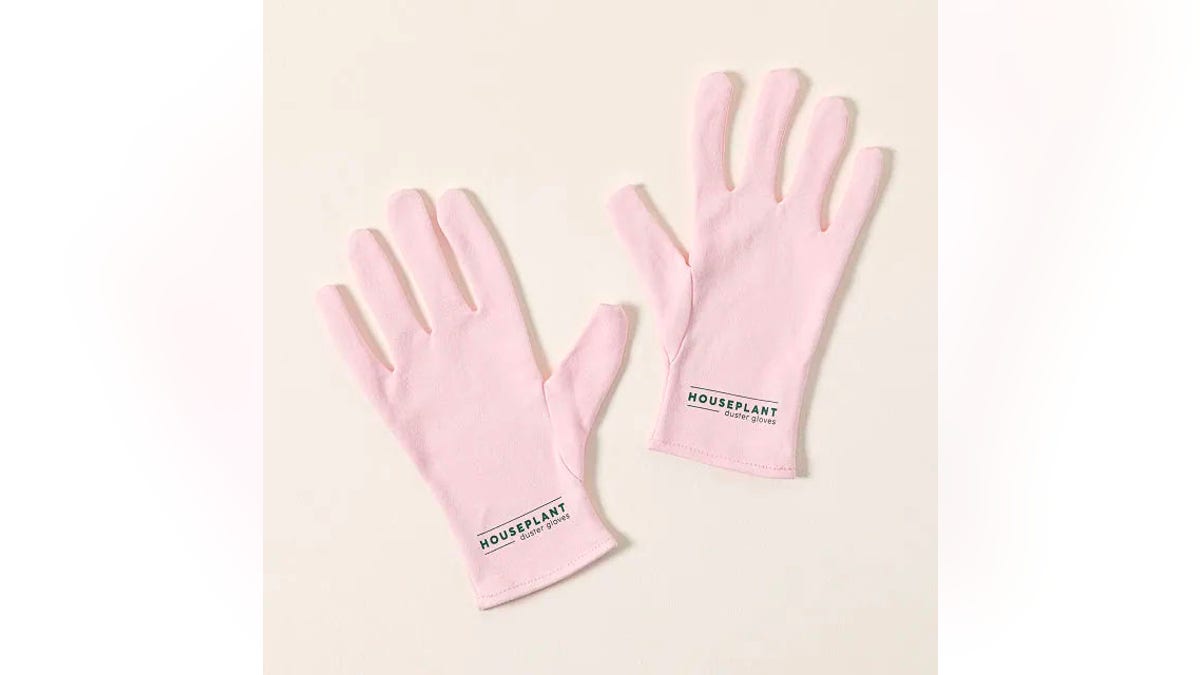 Keep leaves dust-free easily with gloves.