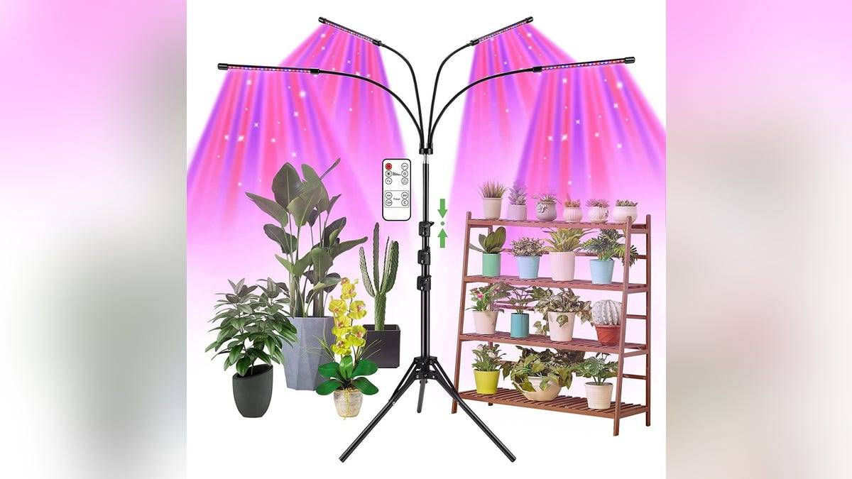 Grow lights are great in the winter.