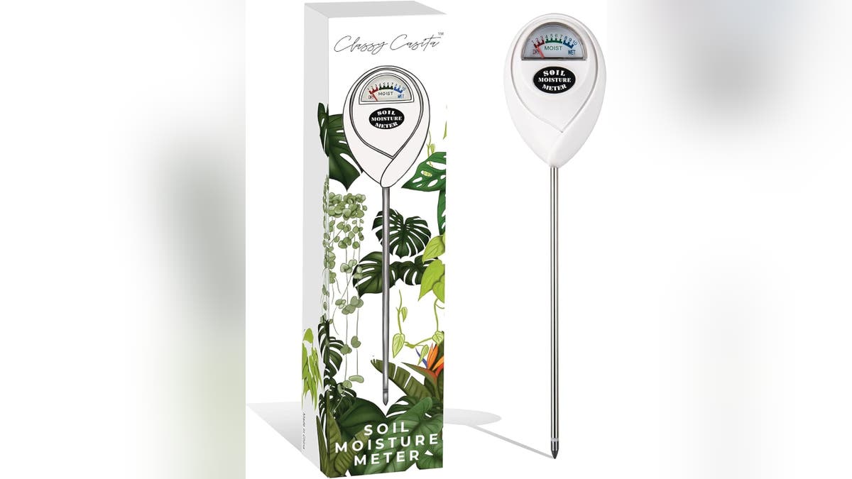 Take the guesswork out of watering with a meter.