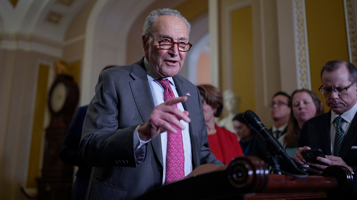 Senate Minority Leader Chuck Schumer talks to reporters about the agenda after President Donald Trump's agenda