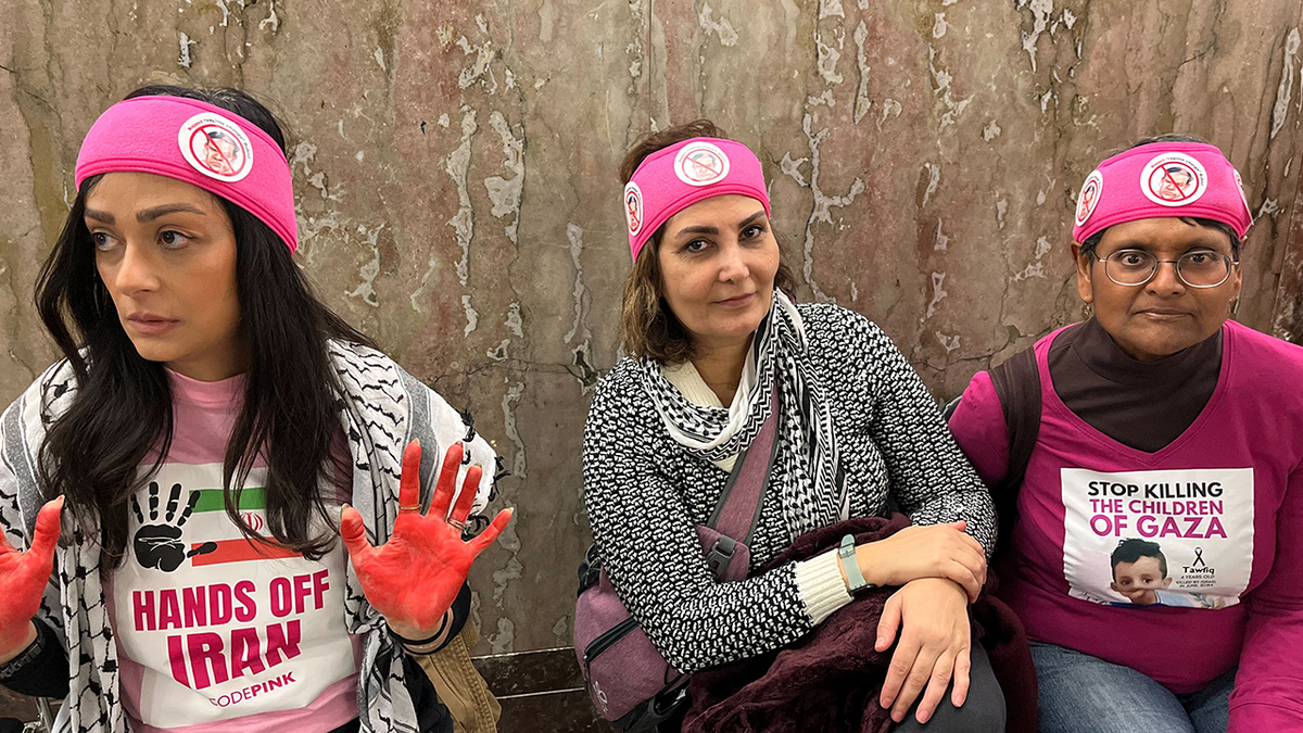 Protesters at Rubio hearing in pink headbands