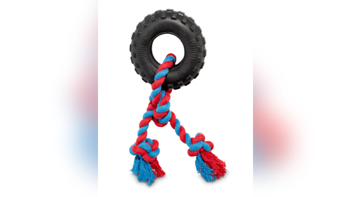 This toy is great for chewers and playing tug-of-war. 