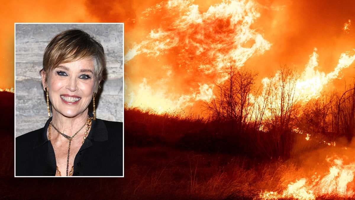 An image of California wildfires with inset of Sharon Stone