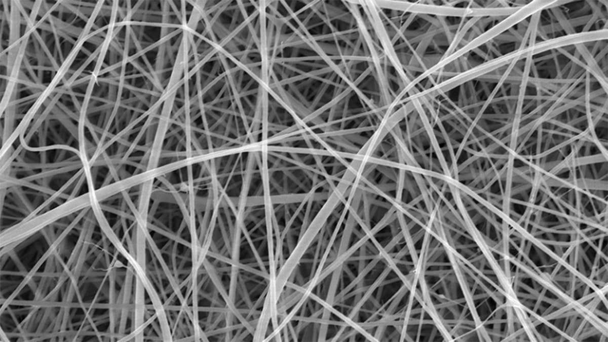 A closeup of a nanopasta.