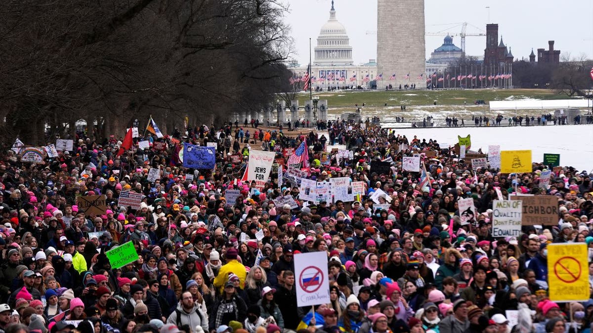 Protestors representing a variety of rights groups attend the "People's March on Washington" on January 18, 2025 in Washington, DC.