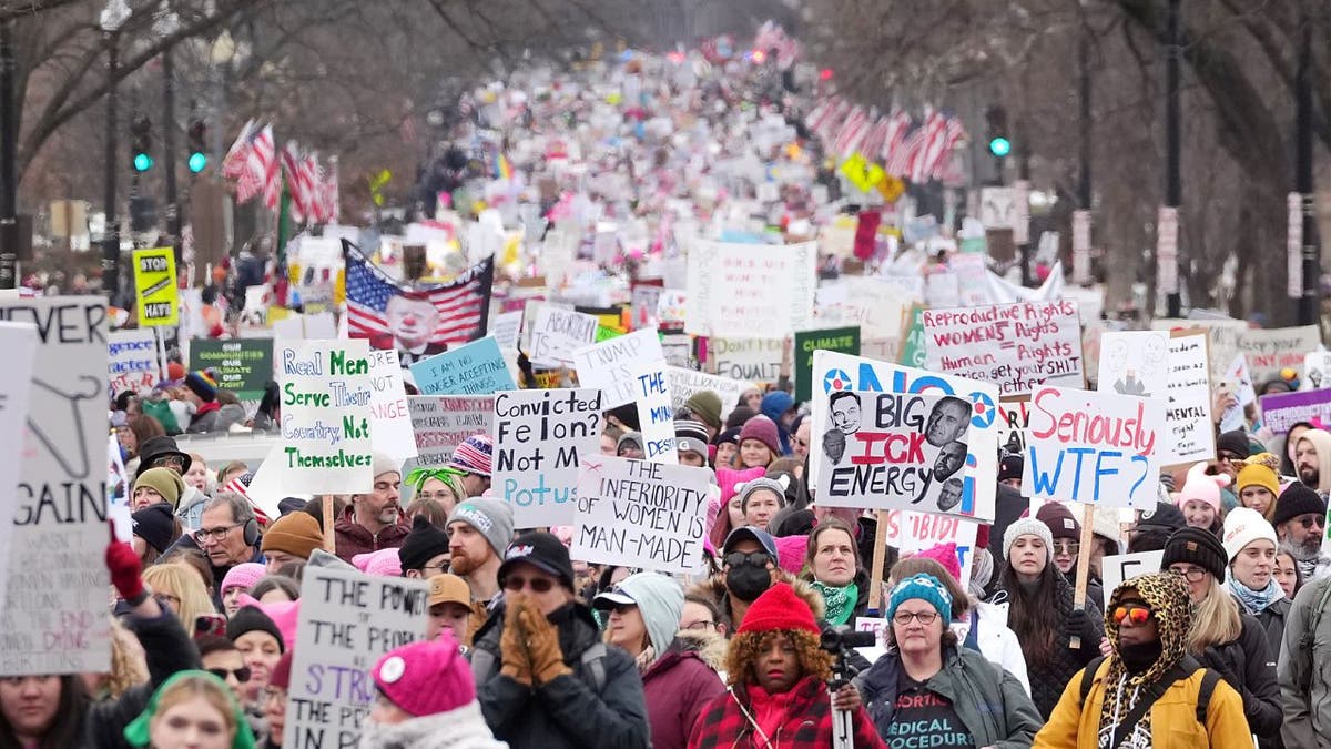 Thousands of left wing demonstrators descend on Washington to protest ...