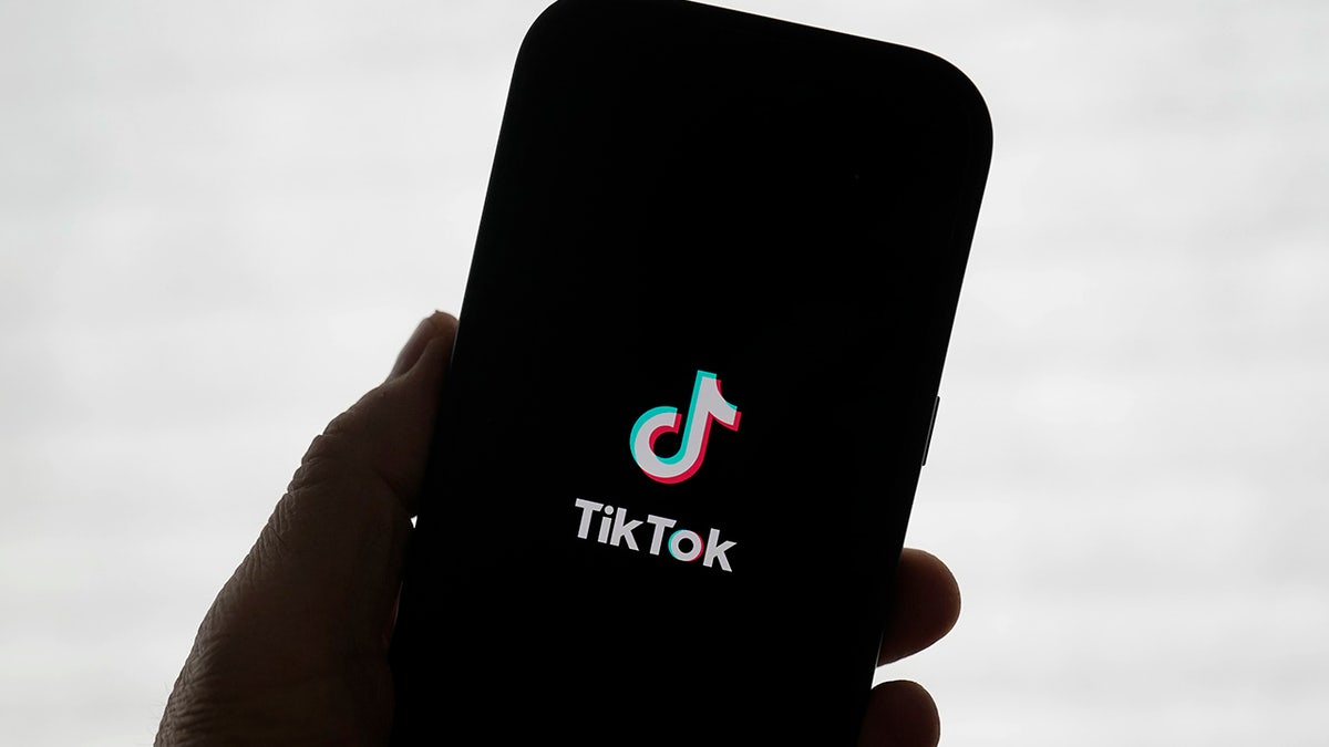 TikTok logo on the phone