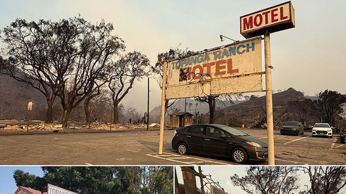 Topanga state park fire damage