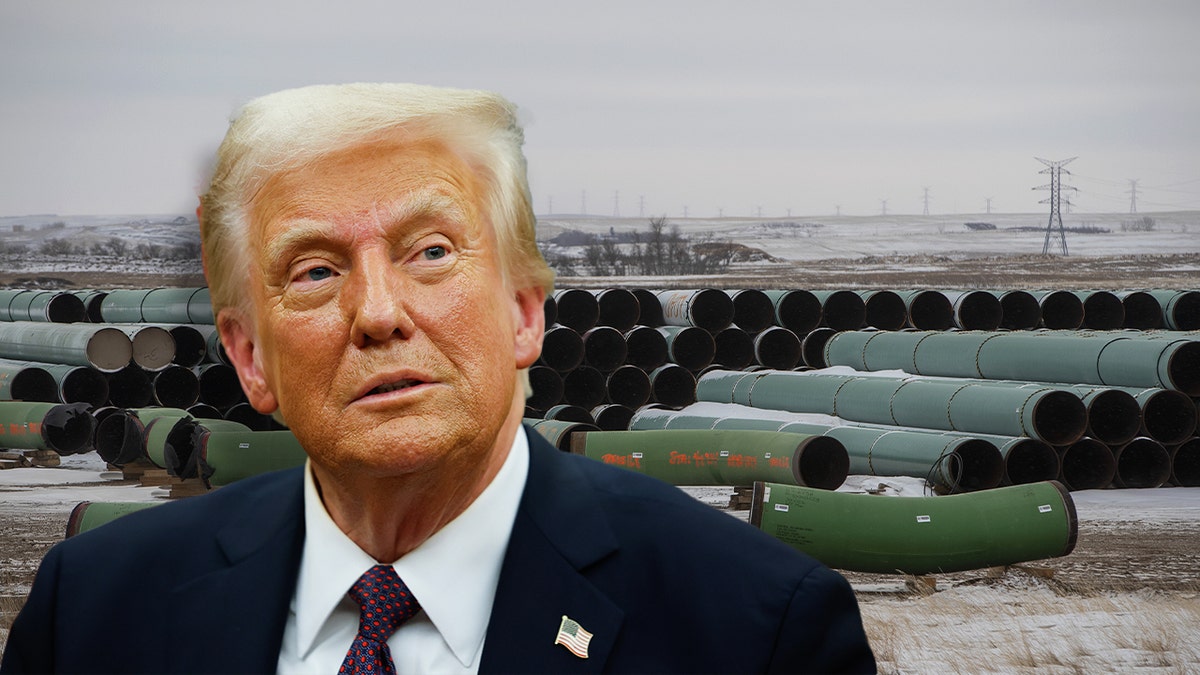 Trump calls for construction to resume on Keystone XL Pipeline killed 