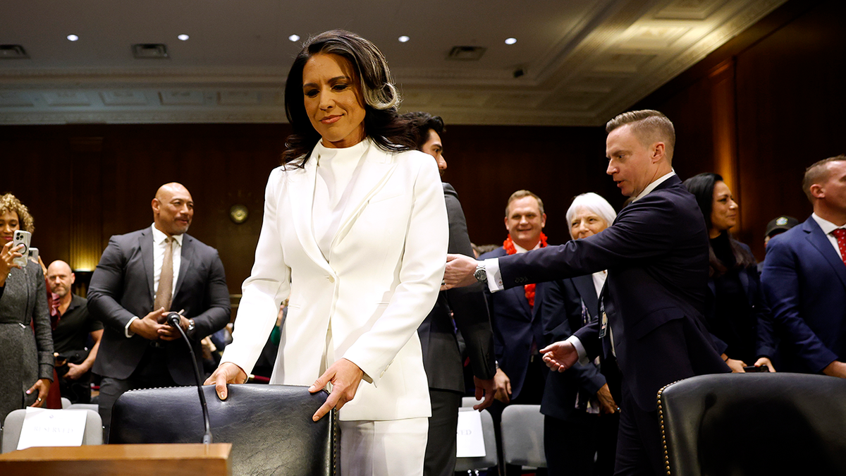 Tulsi Gabbard Hearing