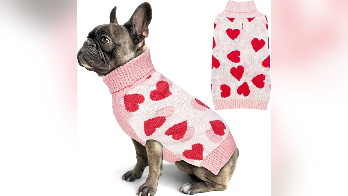 Your pet will stand out in this sweater.