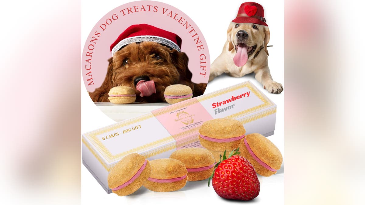 Treat your pup with a gift box of six delectable macrons.