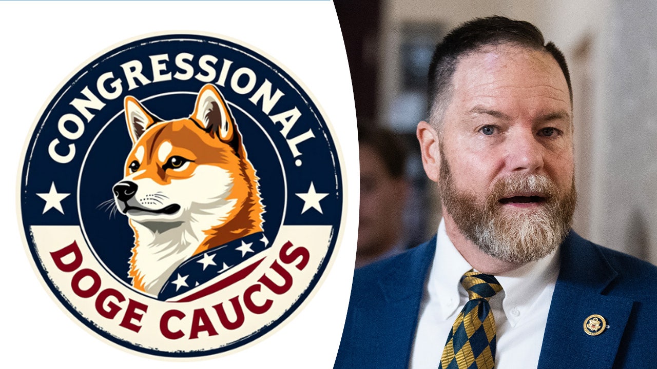 House DOGE Caucus eyes federal employees, government regulations in new  goal-setting memo