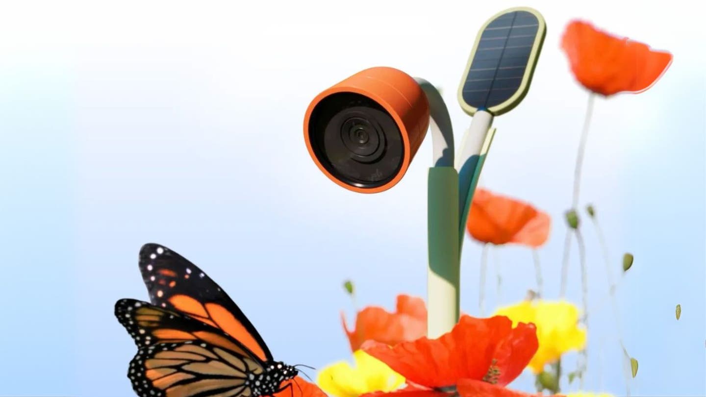 10 top tech that stole the show at ces 2025