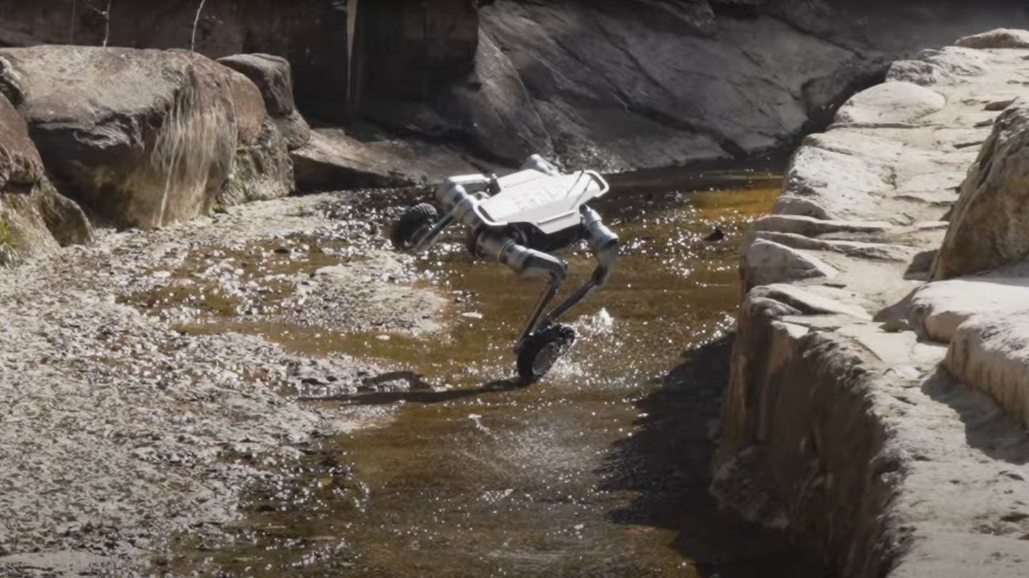 5 wheeled wonder robot dog shows off crazy dance moves in all kinds of tough terrain