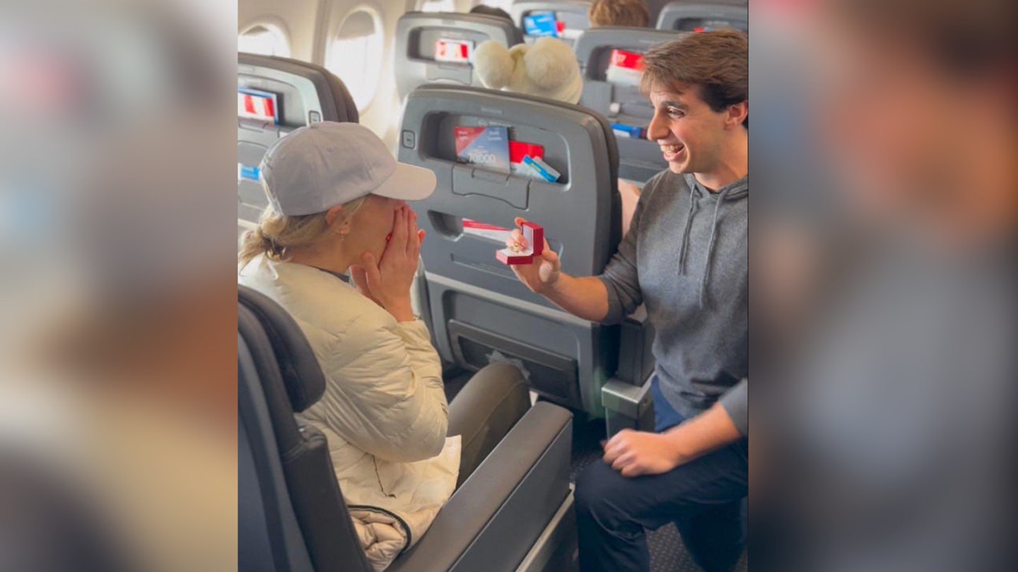 man proposes on plane