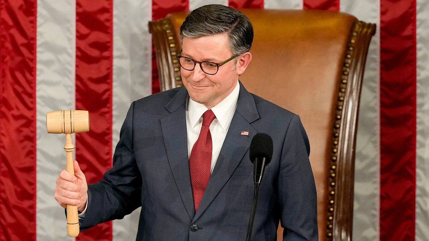 mike johnson gavel 1