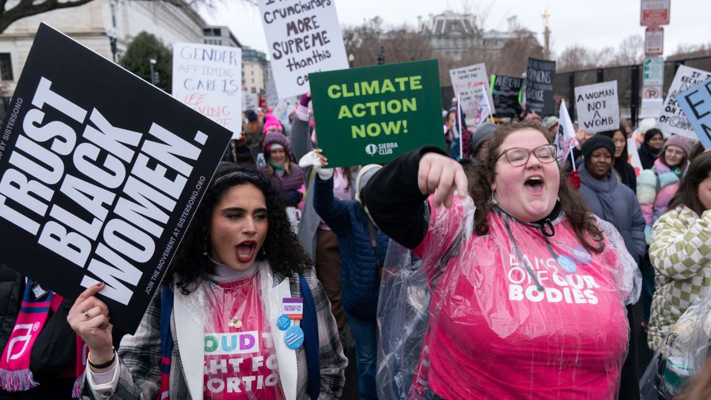 pro choice protesters