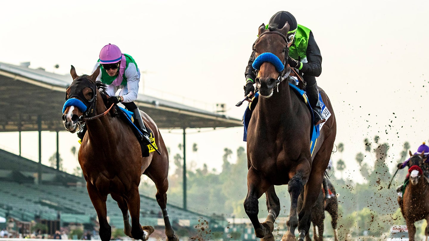 santa anita horse racing