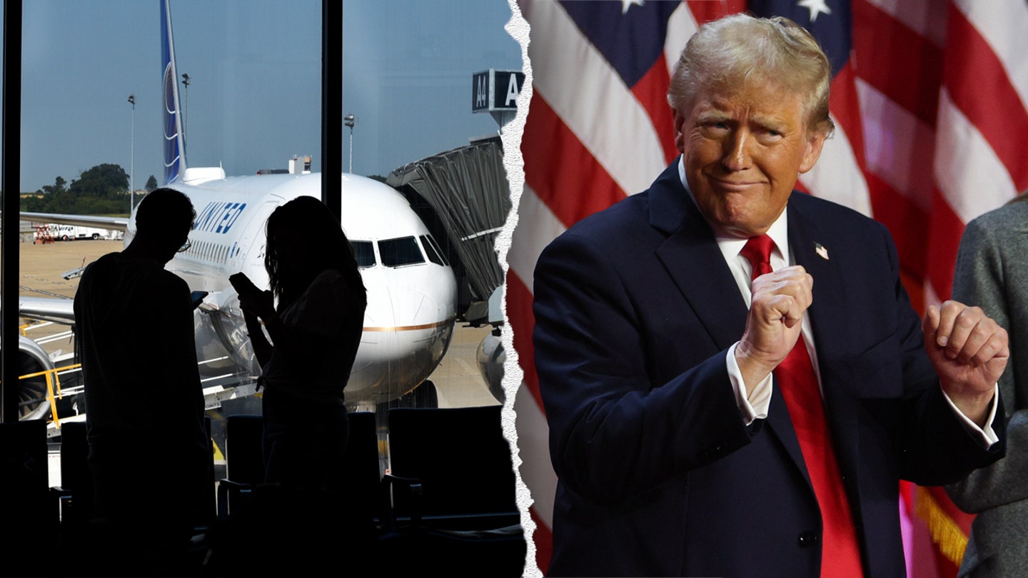 Main US airport might be renamed after Donald Trump Main US airport might be renamed after Donald Trump