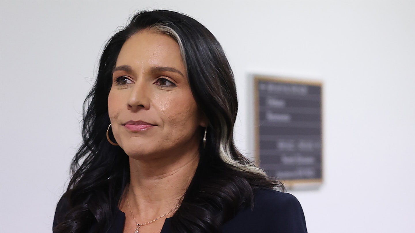 tulsi gabbard dni