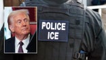 As President Trump takes office, sanctuary cities have refused to assist in federal deportation efforts of immigrants.