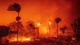 General view of Los Angeles wildfire