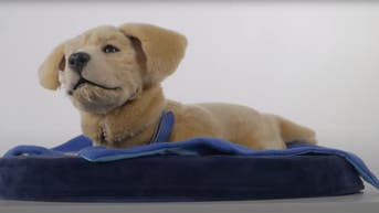AI puppy Jennie comforts dementia seniors, offering companionship - Fox News