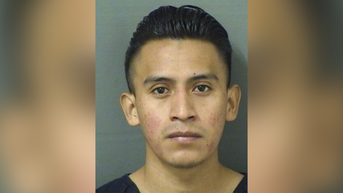 Migrant claims he was targeted over immigration status after arrest for crimes against child - Fox News