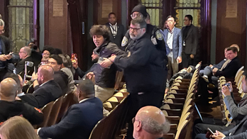 'Scream night': Climate activists repeatedly disrupt DNC leadership meeting