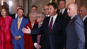 DeSantis calls for media to hold Democratic California leaders accountable for wildfires: 'Have not seen that'