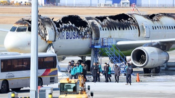 Passenger plane catches fire at South Korean airport; all 176 people on board are evacuated