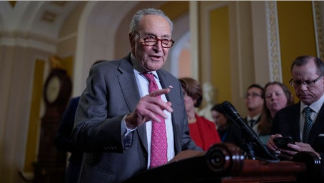 Schumer called out on 17% favorability rating after ripping Trump's first 100 days