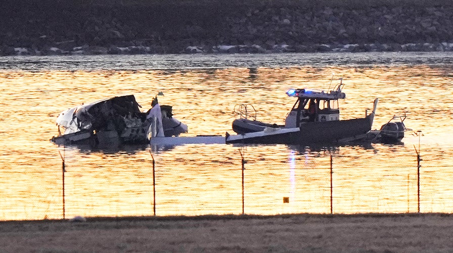 Rescue diver details recovery efforts in DC plane crash