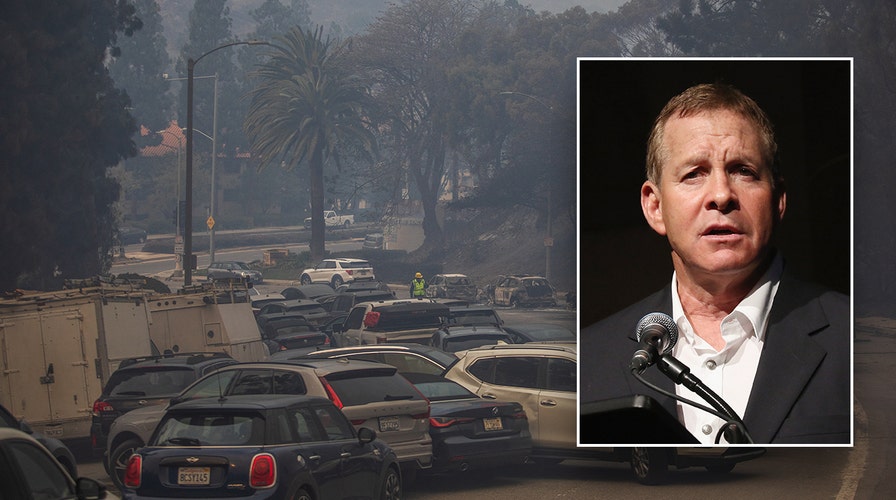 Steve Guttenberg discusses destruction from Palisades Fire