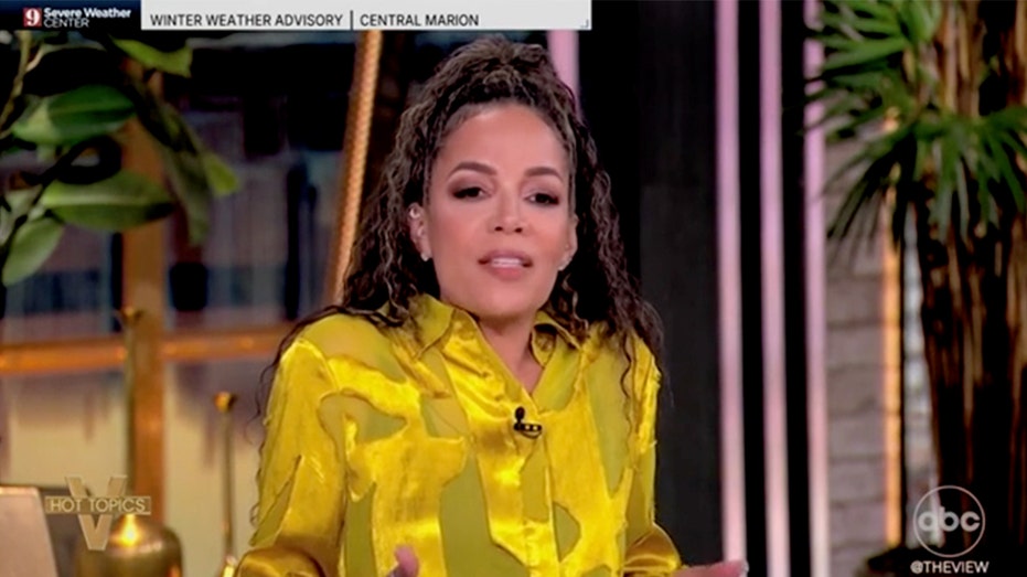 'The View' co-host Sunny Hostin calls President Trump a 'DEI hire'