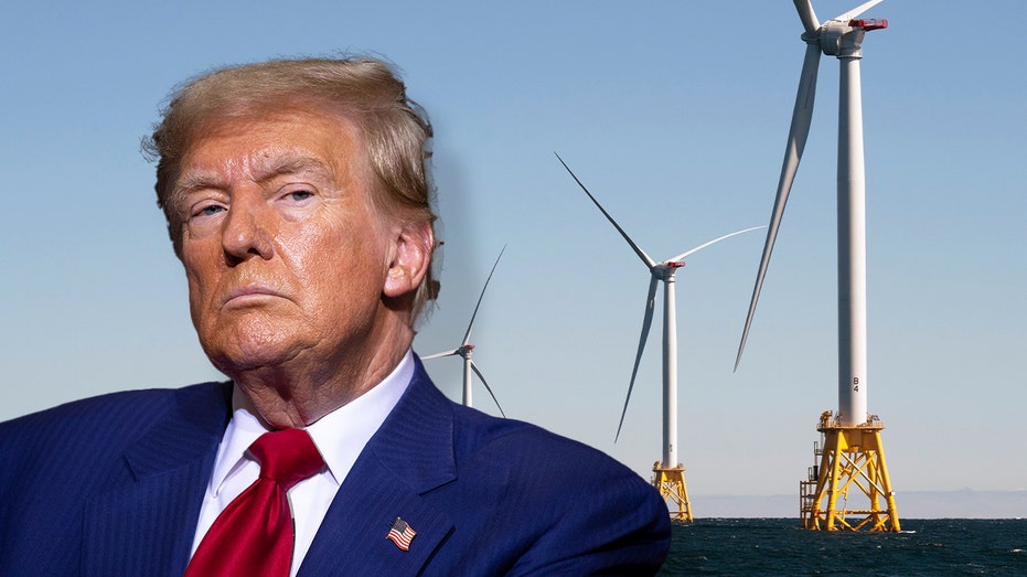 Trump eyes an end to new windmill production under second term, says they are ‘driving the whales crazy’