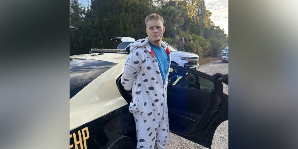 Florida man arrested after wild chase in Dalmatian onesie