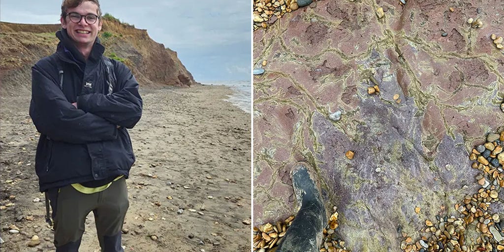 Ancient dinosaur footprint dating back 100 million years discovered near coastal town
