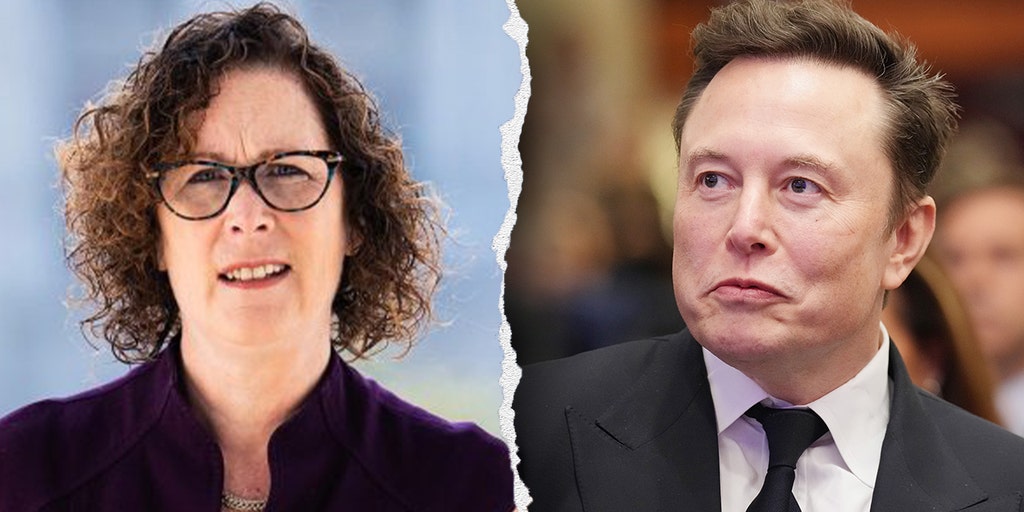 Val Hoyle Leaves Department of Government Efficiency Caucus Citing Elon Musk's Impact