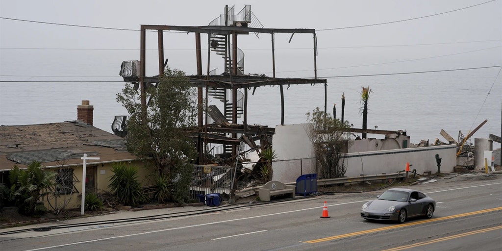 Malibu Councilmember Criticizes Environmental Mismanagement Amid Wildfire Recovery