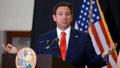 Florida Republicans send SAVE Act&ndash;style proof-of-citizenship voting bill to DeSantis&rsquo; desk - Fox News