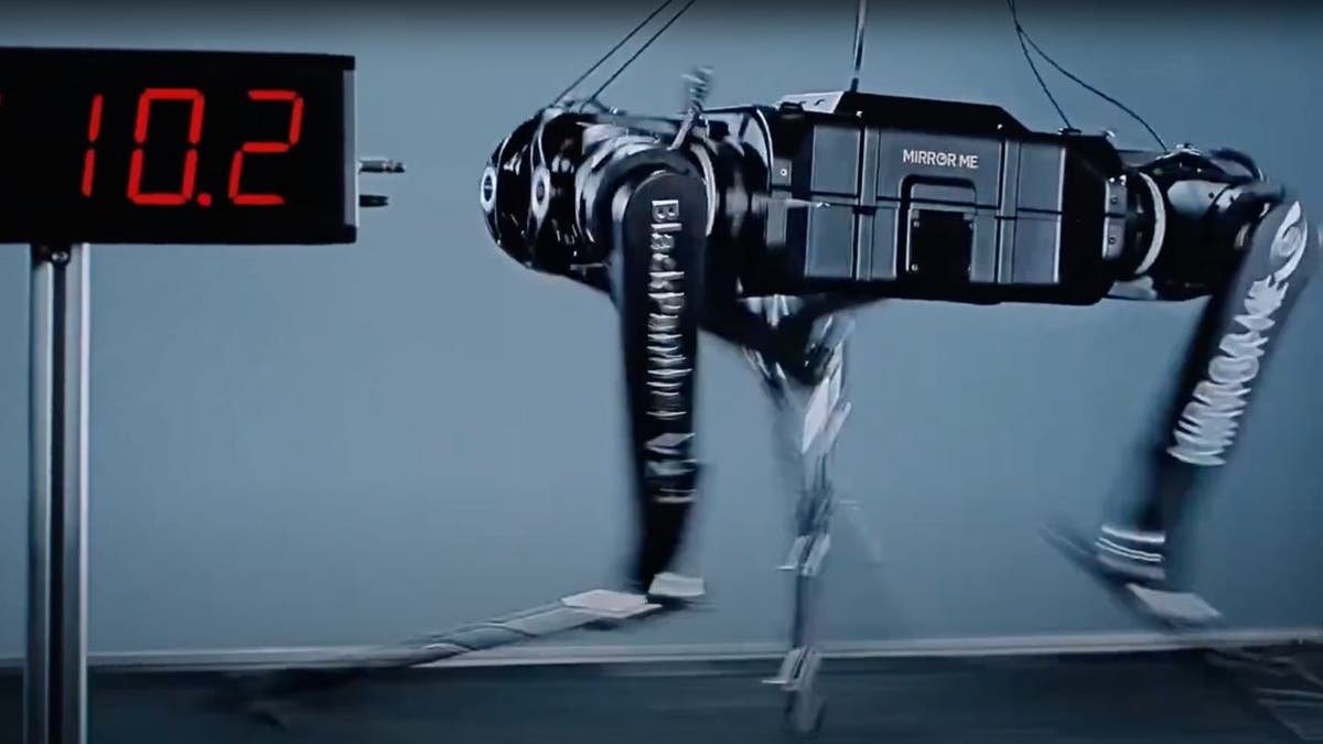 Robot Dog 2
