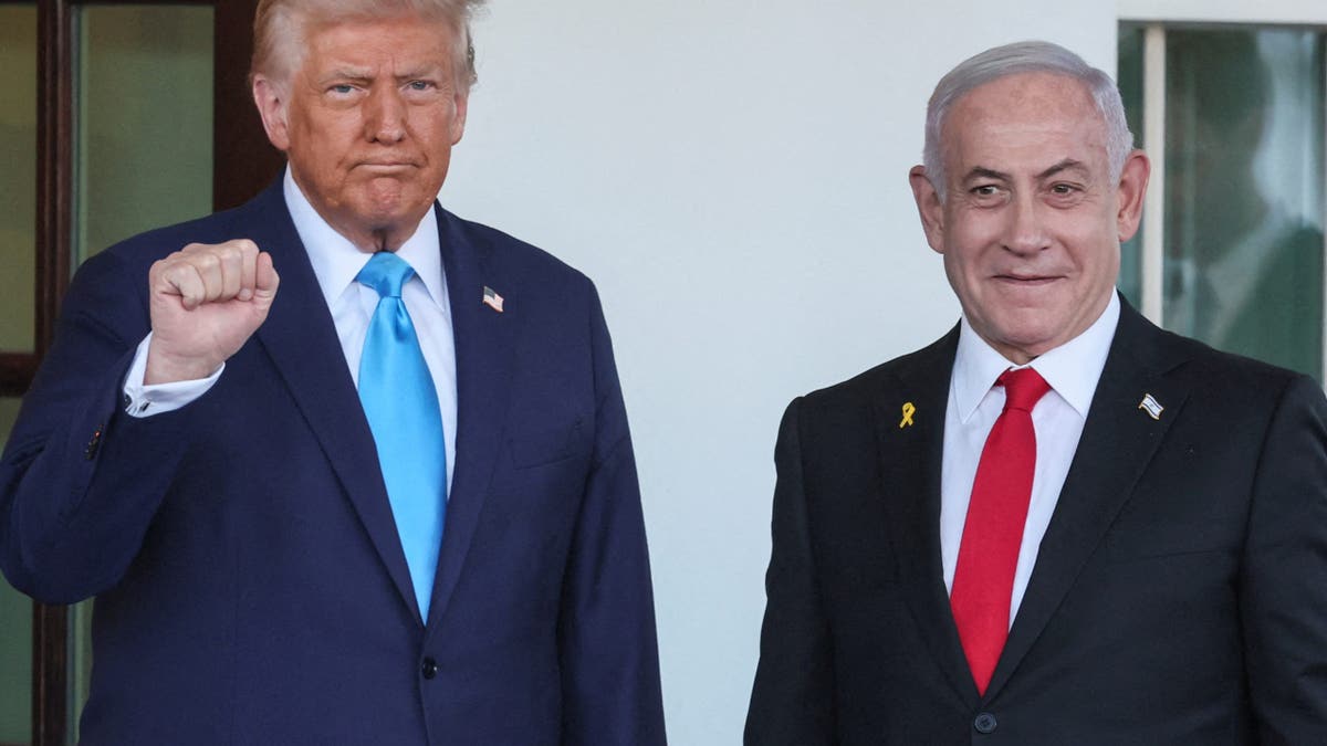 Donald Trump met with Benjamin Netanyahu at the White House this week