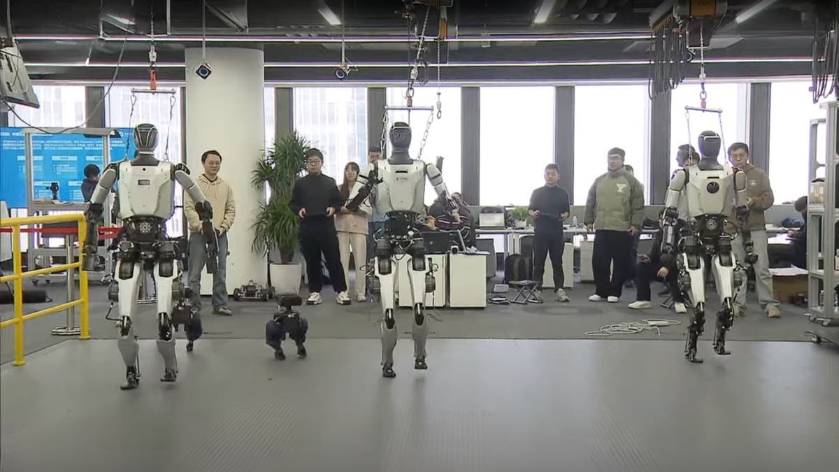 training robots 3