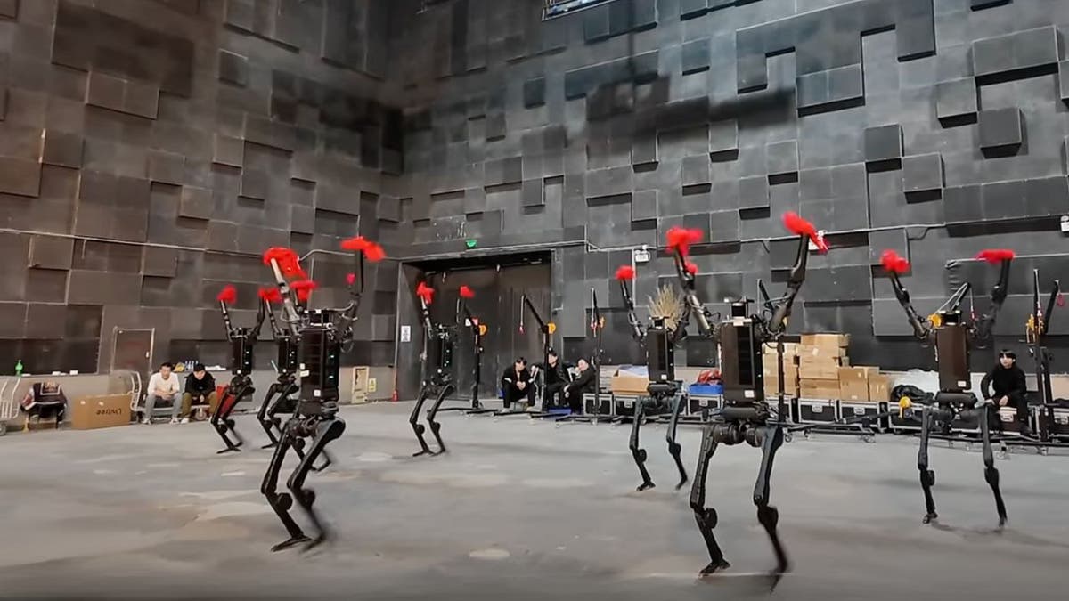 Robots humanoides Bust Dance Moves junto a los humanos